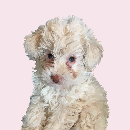 Ilustración Digital Busto High Poly