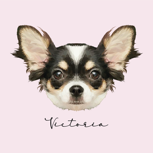 Ilustración Digital Rostro High Poly