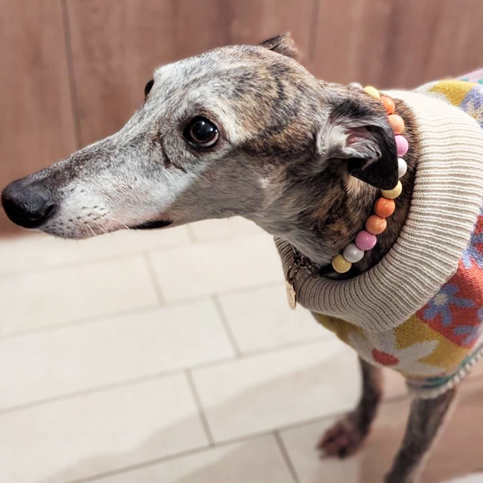 Kusicollar de Cuentas de Madera