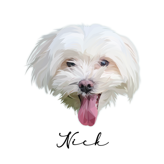 Ilustración Digital Rostro Low Poly