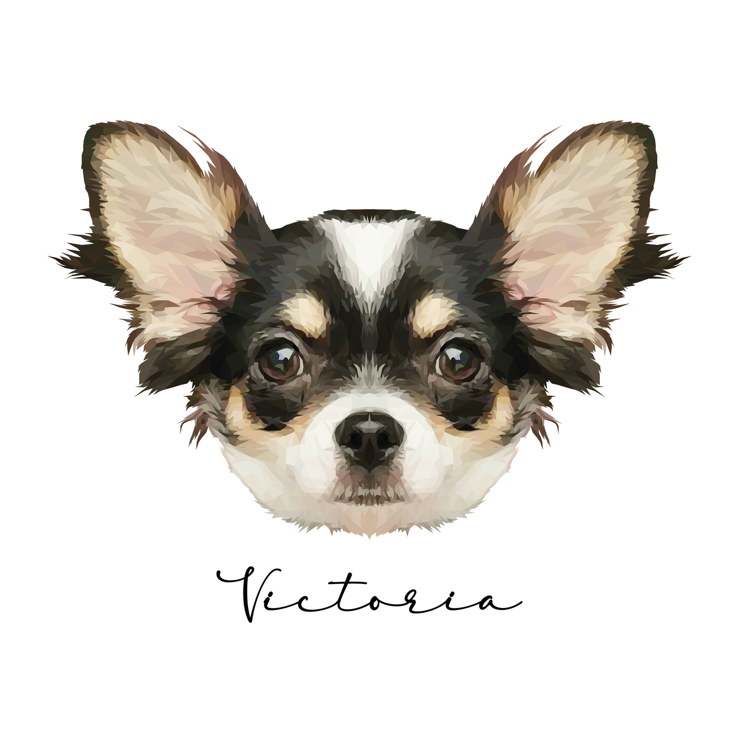 Ilustración Digital Rostro High Poly