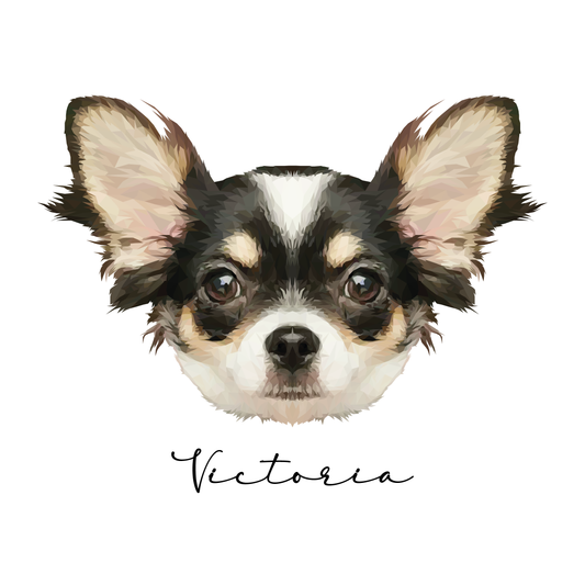 Ilustración Digital Rostro High Poly