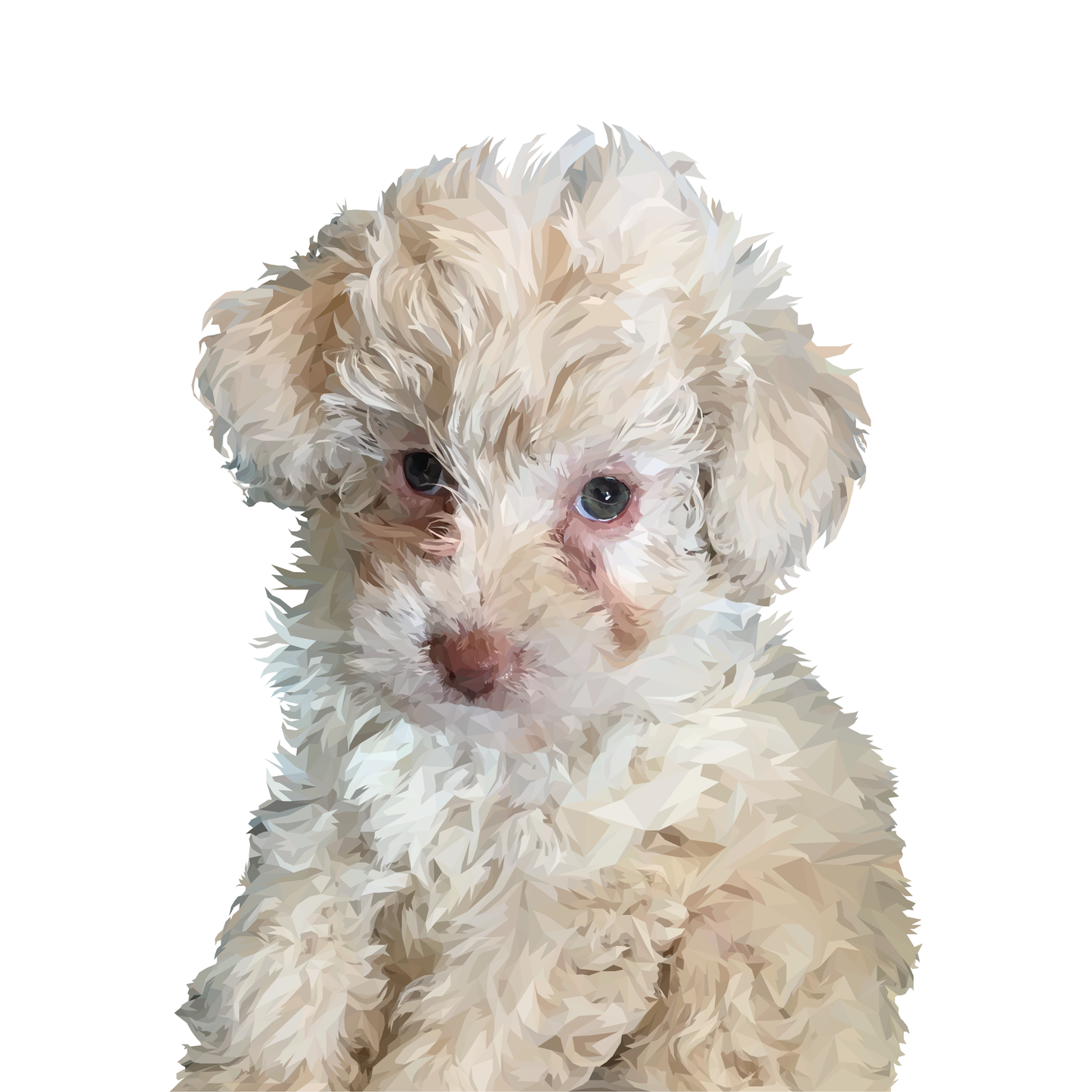 Ilustración Digital Busto High Poly