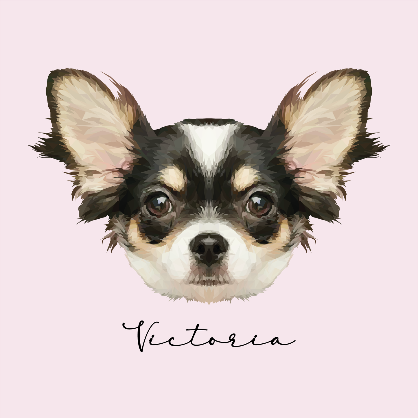 Ilustración Digital Rostro High Poly