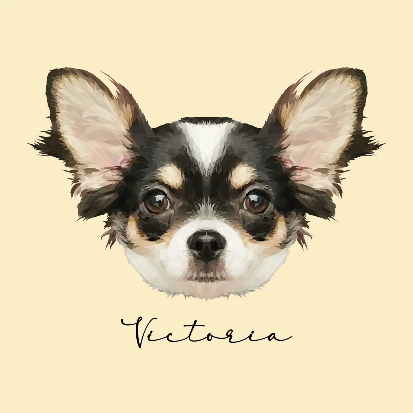 Ilustración Digital Rostro High Poly