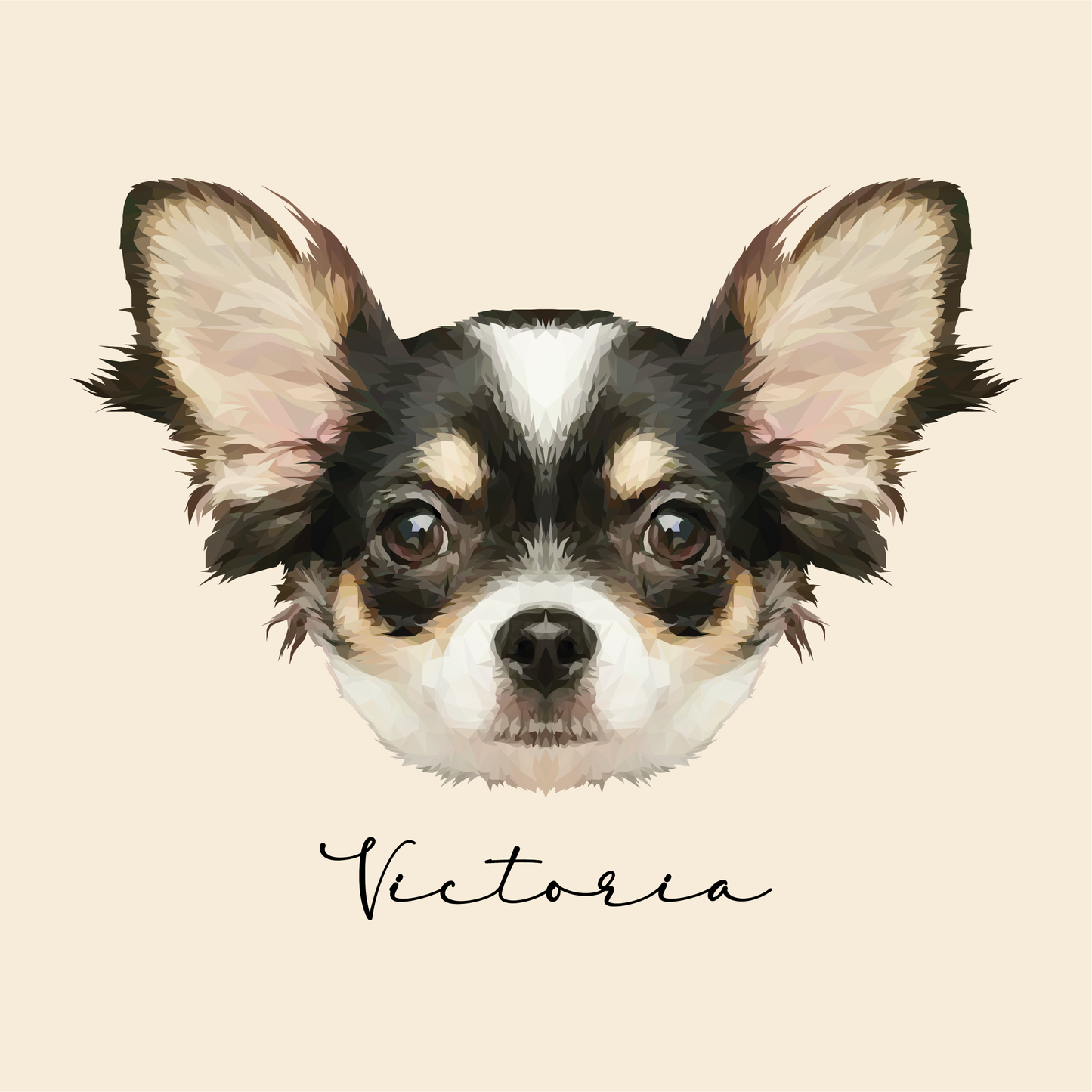 Ilustración Digital Rostro High Poly