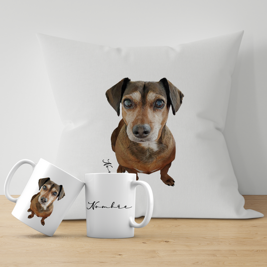 Pack 2 Edición Digital