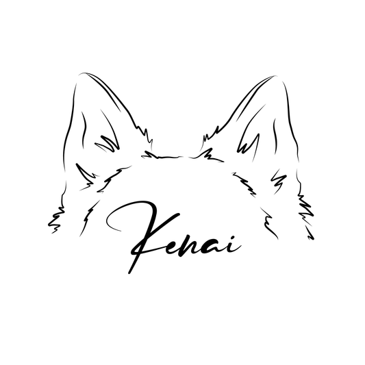 Ilustración Digital Estilo Minimalista Orejitas