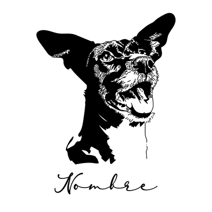 Retrato Digital Estilo Esténcil