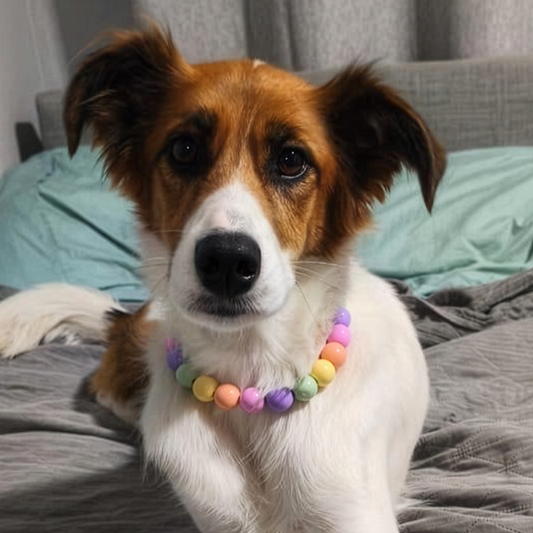 Kusicollar de Cuentas de Madera