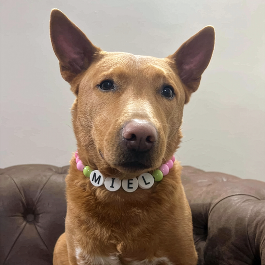 Kusicollar de Cuentas de Madera con Nombre