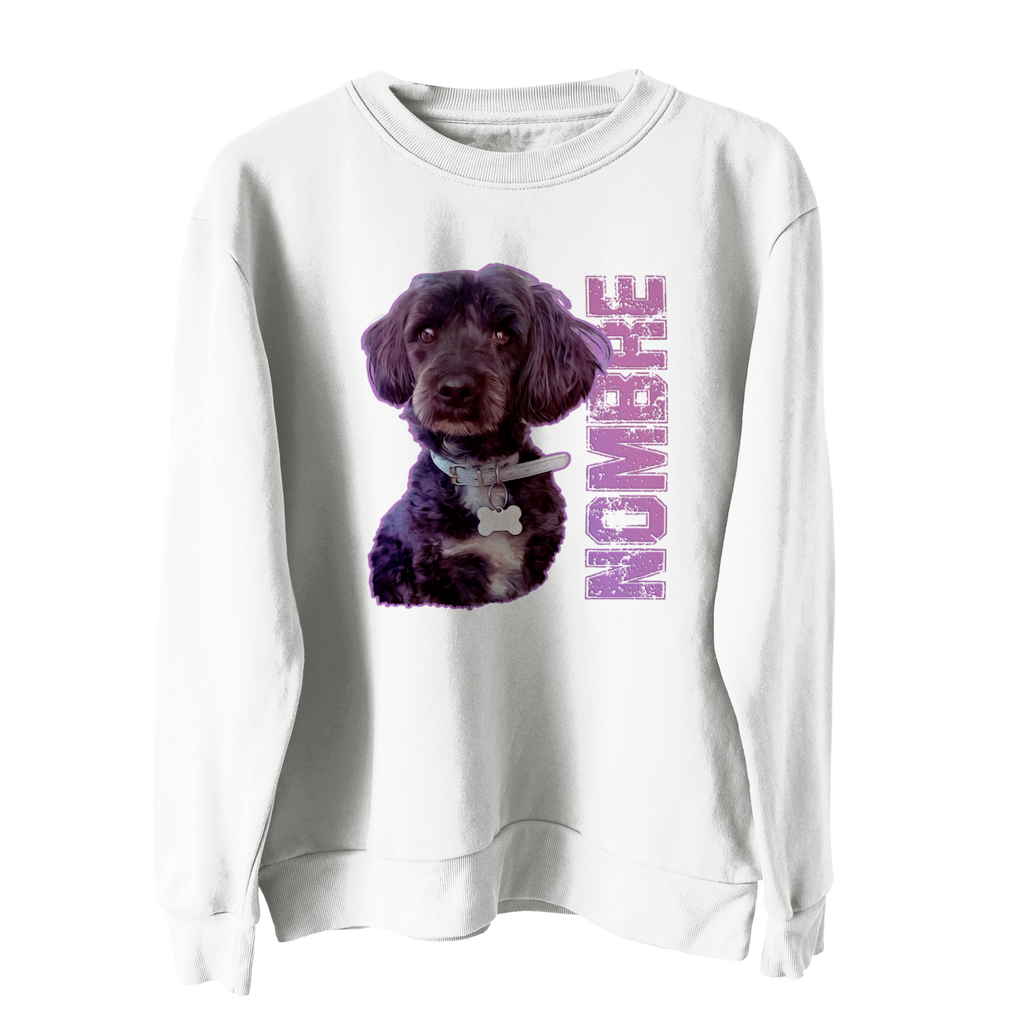 Polerón Polo Personalizado Estilo Britney