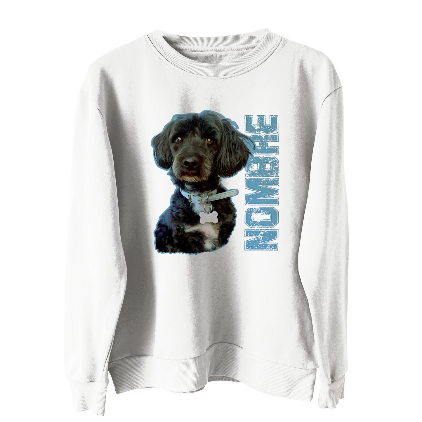 Polerón Polo Personalizado Estilo Britney