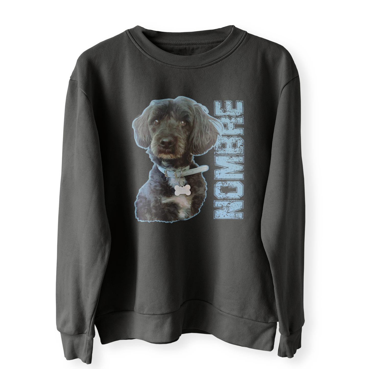 Polerón Polo Personalizado Estilo Britney