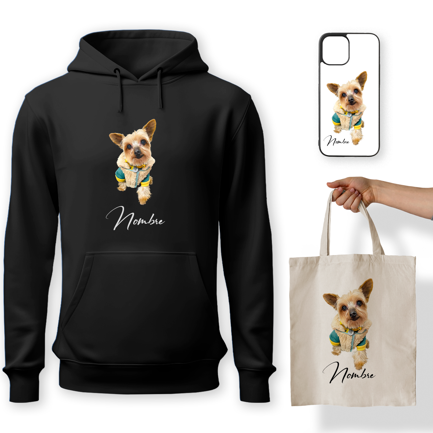 Pack 4 Edición Digital