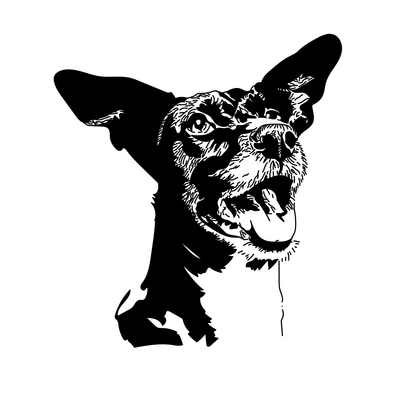 Retrato Digital Estilo Esténcil