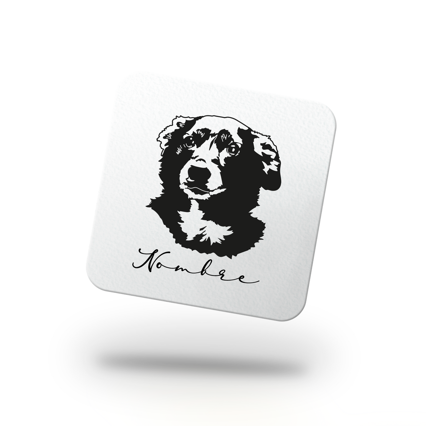 Pack Posavasos Personalizados Estilo Esténcil