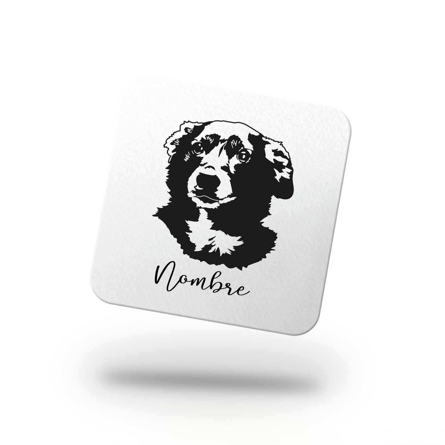 Pack Posavasos Personalizados Estilo Esténcil